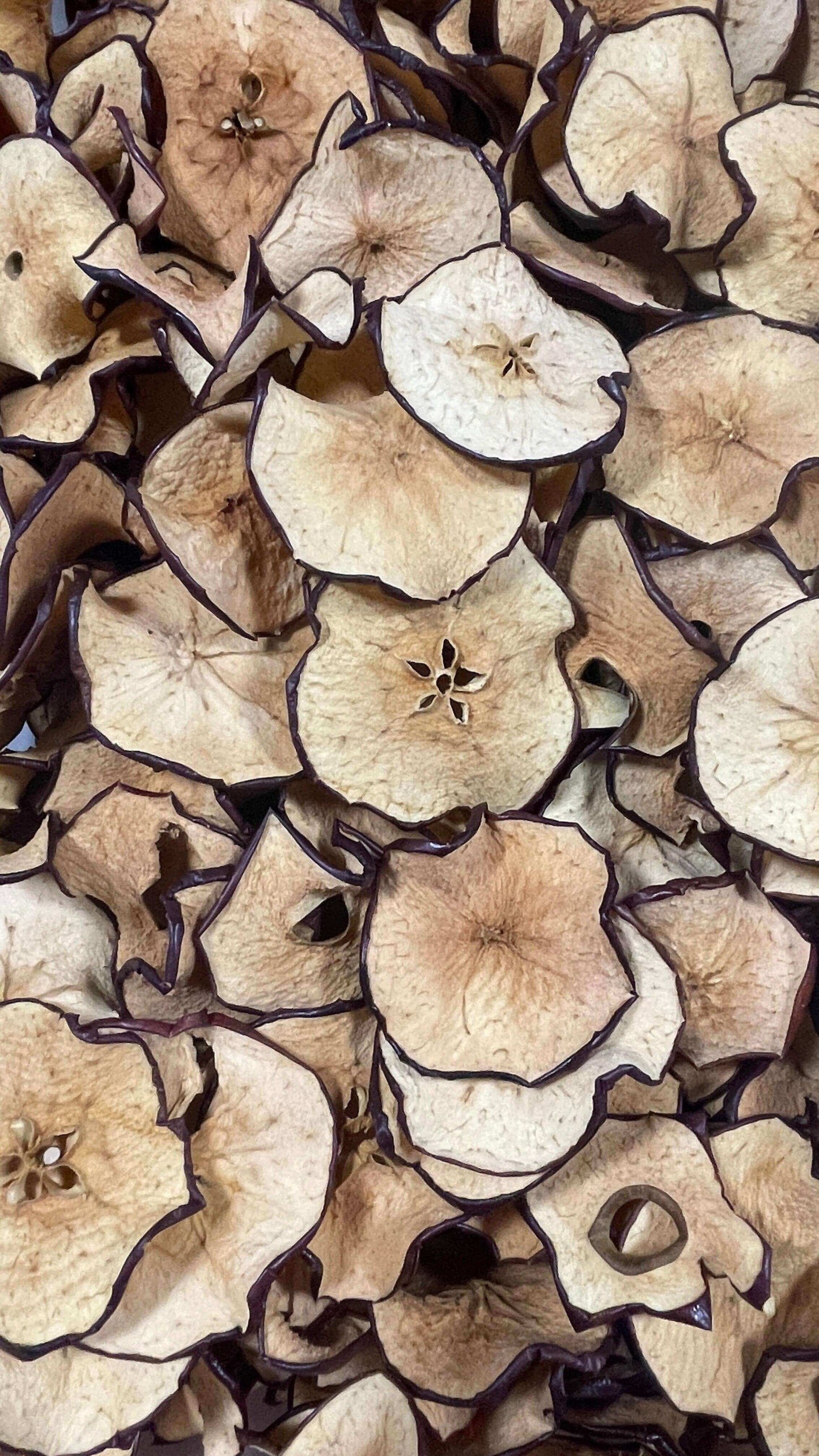 Dehydrated Apple Slices, 2oz (30+ Slices) - Cocktail Garnish Co