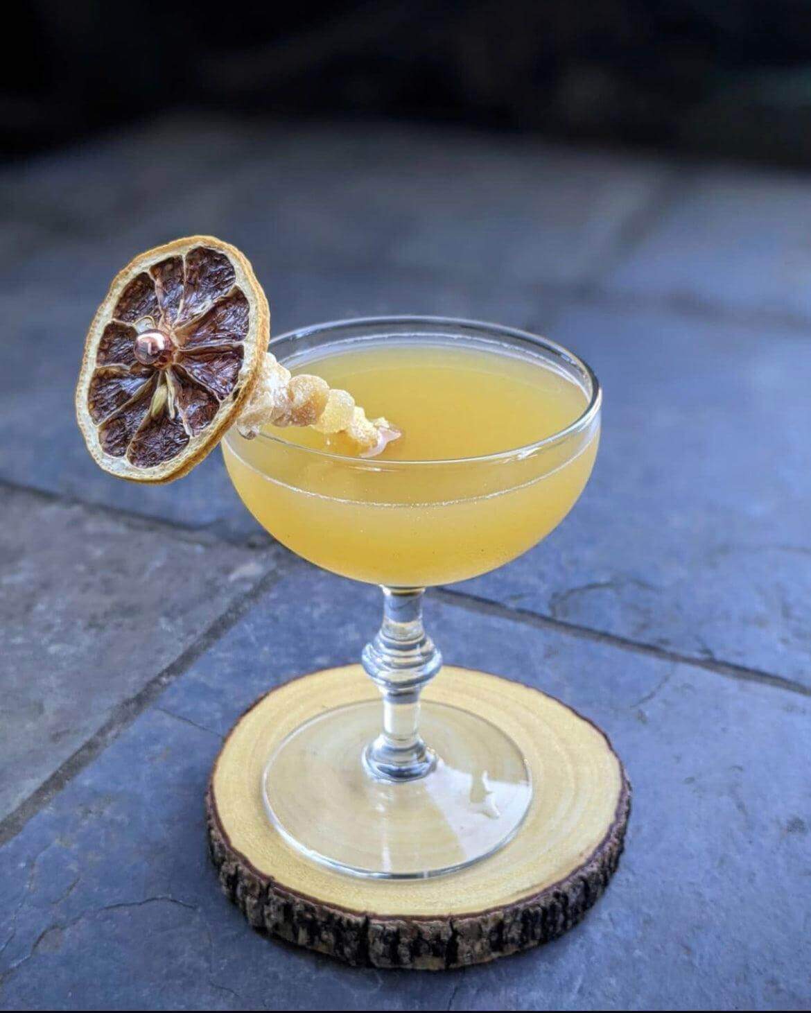 Dehydrated Lemon Garnish, 3oz, (45+ Slices) - Cocktail Garnish Co